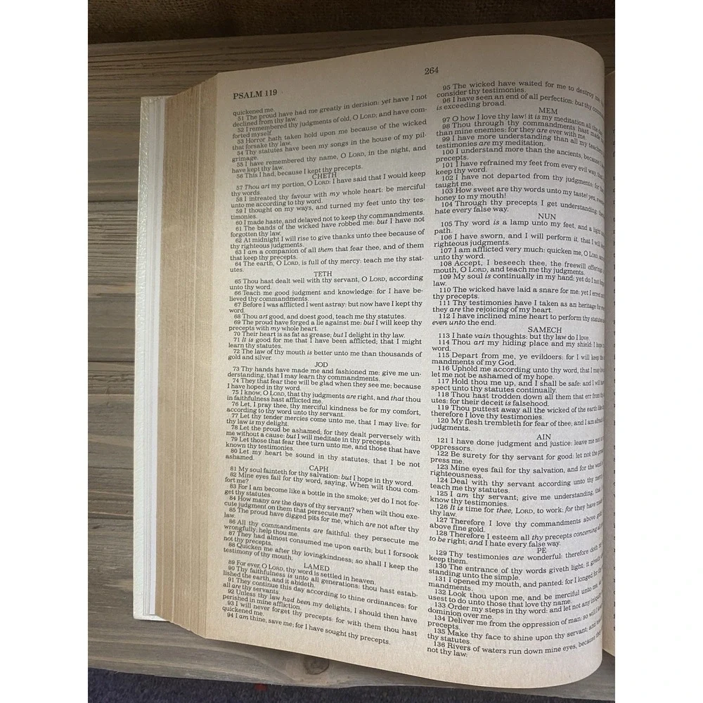 VTG Holy Bible Red Letter Edition, King James Version, Illustrated, 1987